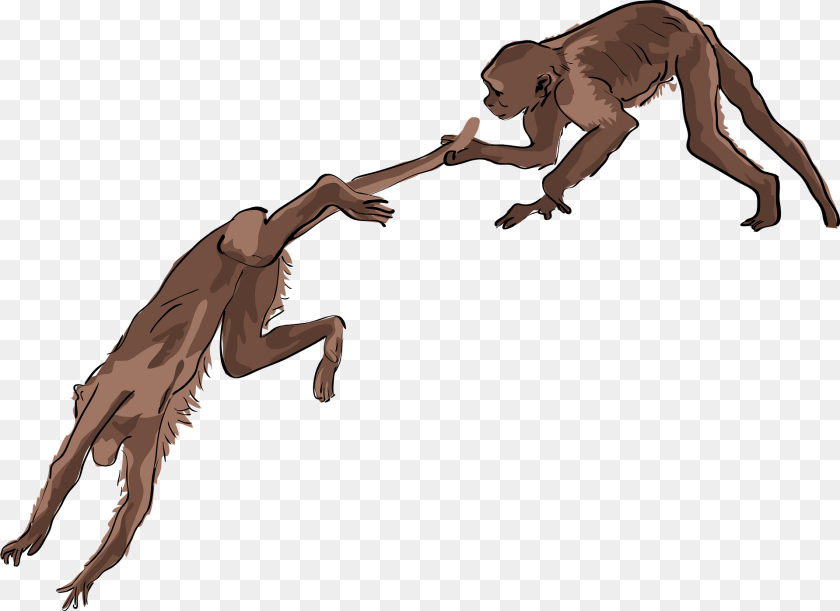 Two Monkeys Playing Person, Animal, Dinosaur, Reptile Clipart PNG