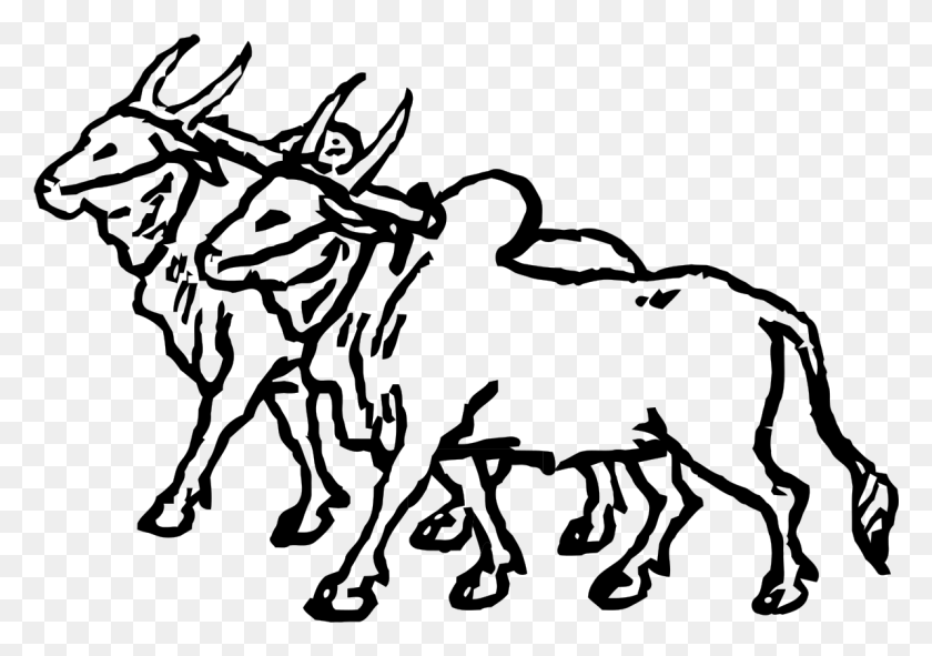 1193x813 Два Быка Вариант Рисунок С Воловьей Телегой, Лошадь, Млекопитающее Png Скачать