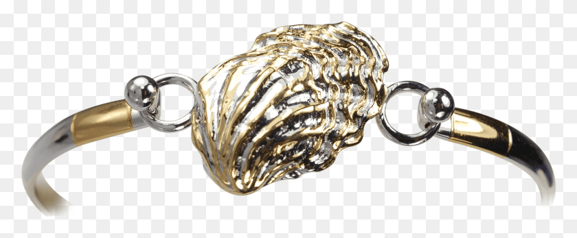 2439x900 Two Toned Oyster Shell Topper And Bracelet Chain, Ring, Jewelry, Accessories HD PNG Download
