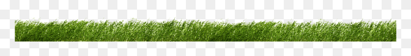 1921x139 Two Very Refreshing Guys Lawn, Grass, Plant, Green HD PNG Download