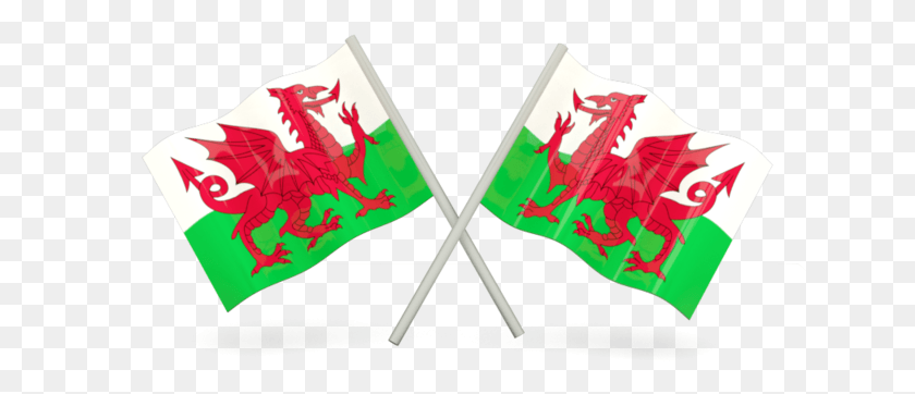 641x302 Two Welsh Flags, Text, Stick, Cane HD PNG Download