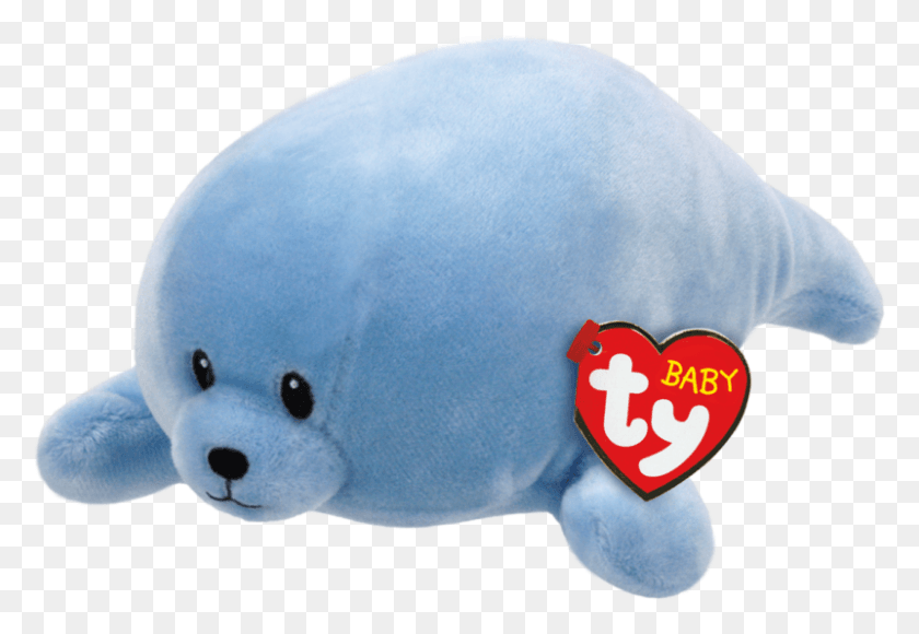 801x534 Ty Squirt, Mamíferos, Animales, Sea Life Hd Png