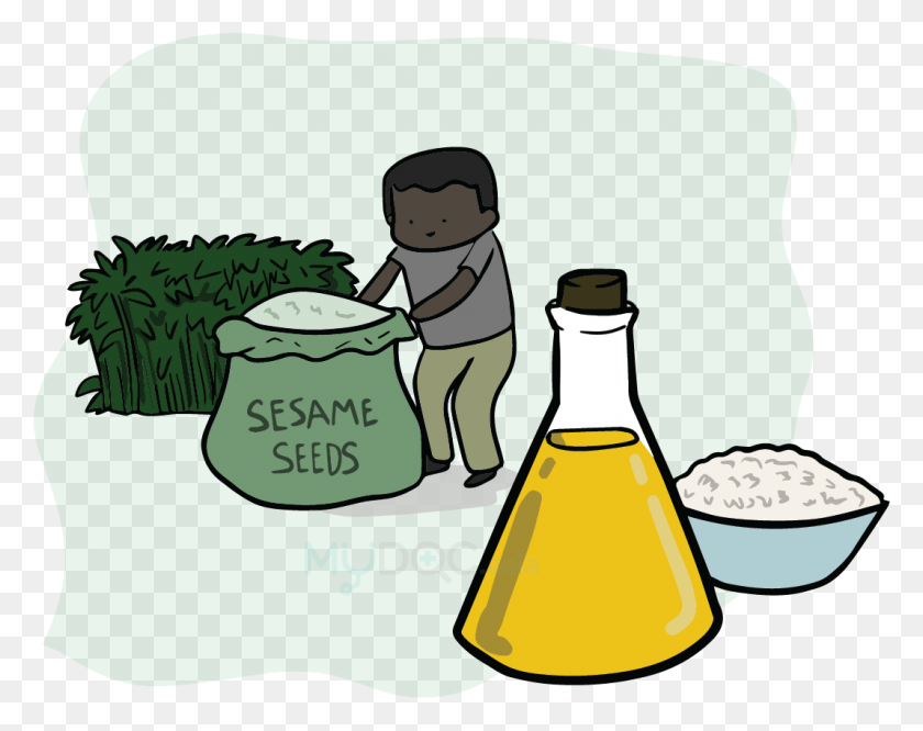 1068x831 Types Of Cooking Oil Illustration, Bowl, Plant, Powder HD PNG Download