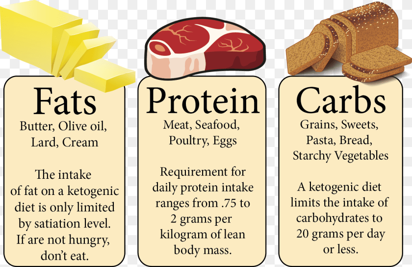 1578x1023 Types Of Food Fat Carbohydrates, Text, Lunch, Meal Sticker PNG