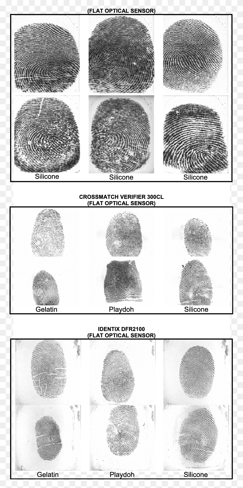773x1626 Typical Examples Of Real And Fake Fingerprint Images Real Fingerprint Samples, Clam, Seashell, Invertebrate HD PNG Download