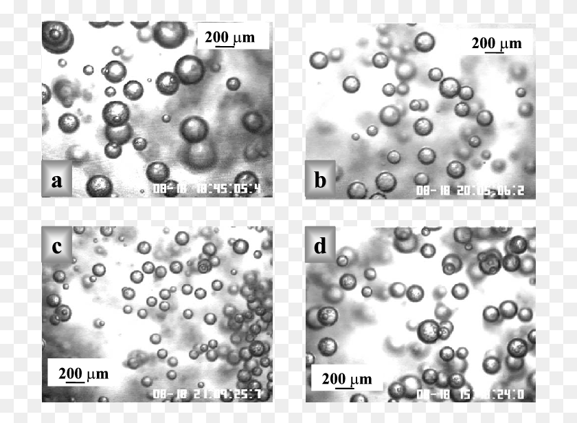 720x555 Типичное Изображение Пузырьков Воздуха В Круге, Бумага, Пузырь, Пена Png Скачать