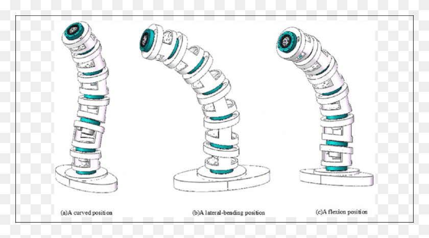 850x443 Typical Motion Patterns Using Humanoid Torso Arch, Suspension, Spiral, Coil HD PNG Download