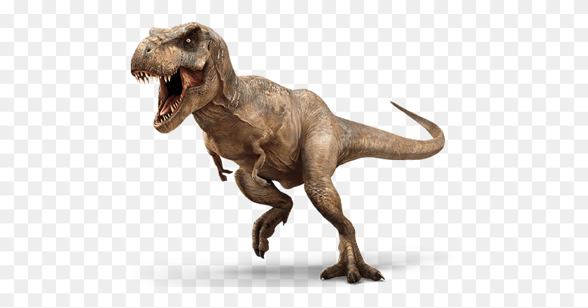487x381 Tyrannosaurus Rex Dinosaur T Rex, T-rex, Reptile, Animal HD PNG Download