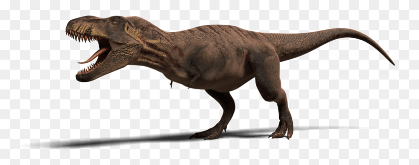 1085x379 Tyrannosaurus Rex Tyrannosaurus Rex Modelo Png / Tyrannosaurus Rex Hd Png