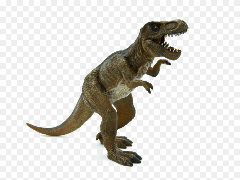 4497x3360 Tyrannosaurus Rex T Rex Stegosaurus Dinosaur, Heart Transparent PNG