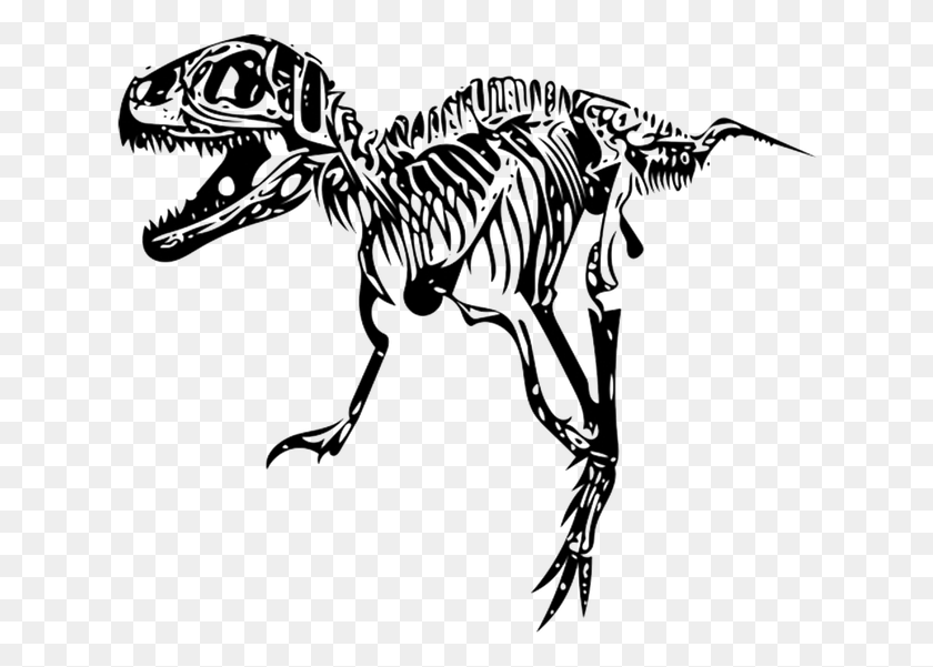 634x541 Tyrannosaurus T Rex Fossil T Rex Skeleton, Dinosaur, Reptile, Animal HD PNG Download
