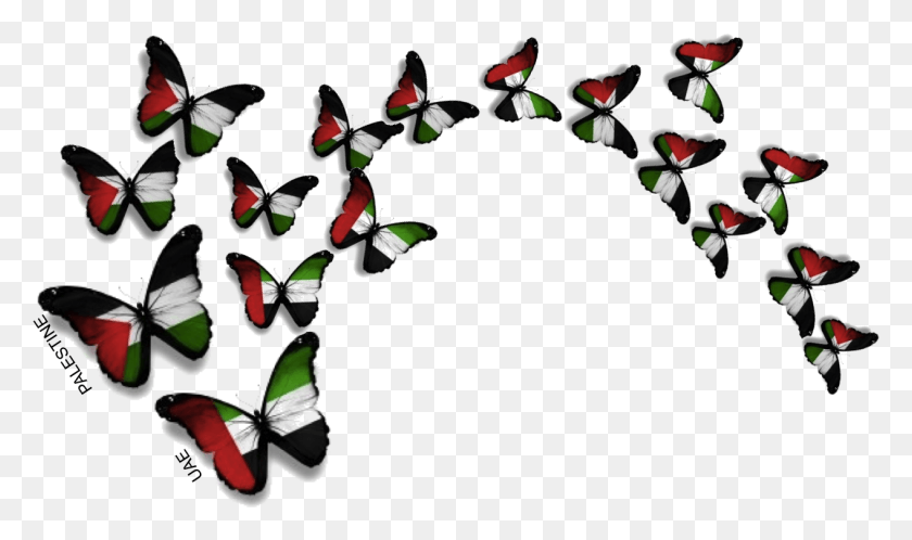 1266x711 Оаэ И Палестина Флаг Оаэ Бабочка, Растение, Графика Hd Png Скачать