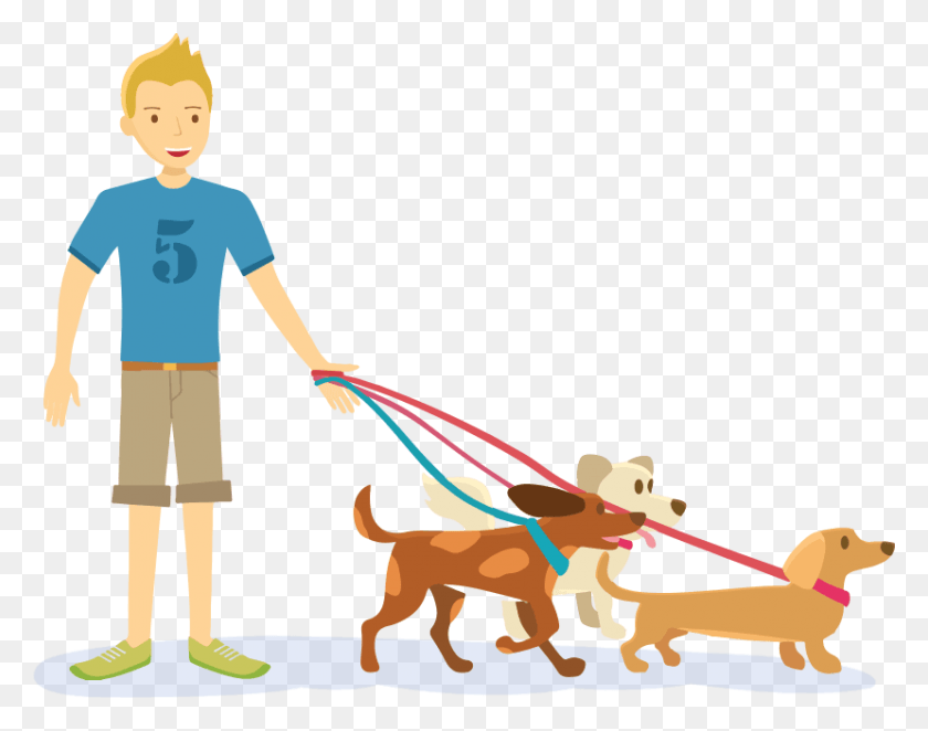 829x640 Uber For Dog Walking On Demand Dog Walker App Podrostok Flat, Person, Human, People HD PNG Download
