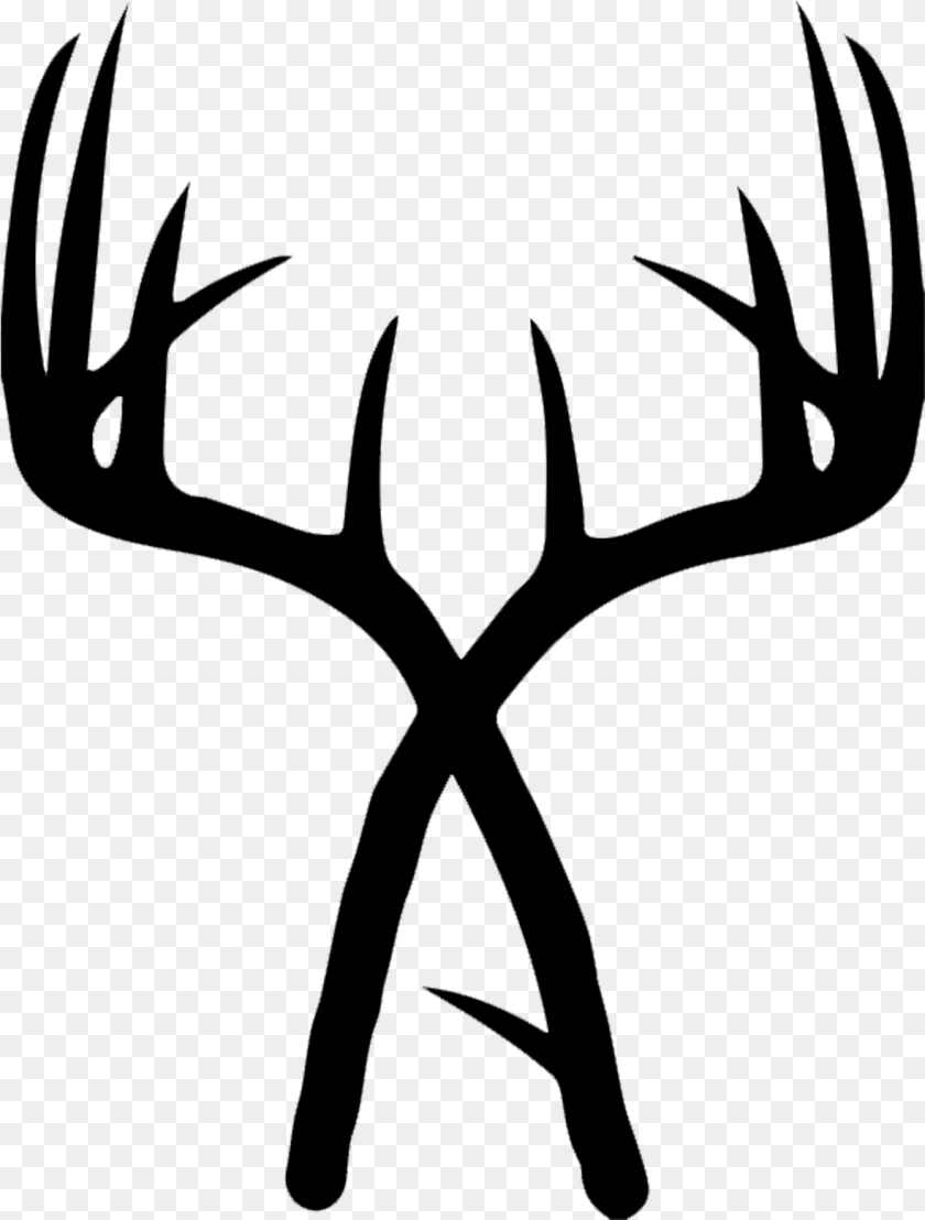 1180x1557 Ubicacin Drawing Of Deer Antlers, Antler Clipart PNG