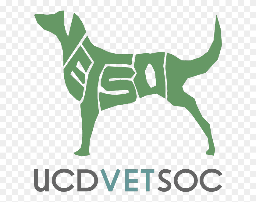 624x602 Ucd Vetsoc Are Committed To Delivering Great Events English Foxhound, Animal, Mammal, Kangaroo HD PNG Download
