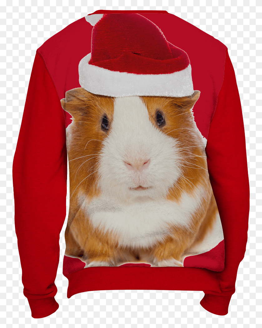 763x993 Ugly Christmas Sweater Guinea Pig Ugly Christmas Sweater Hamster, Clothing, Apparel, Rodent HD PNG Download