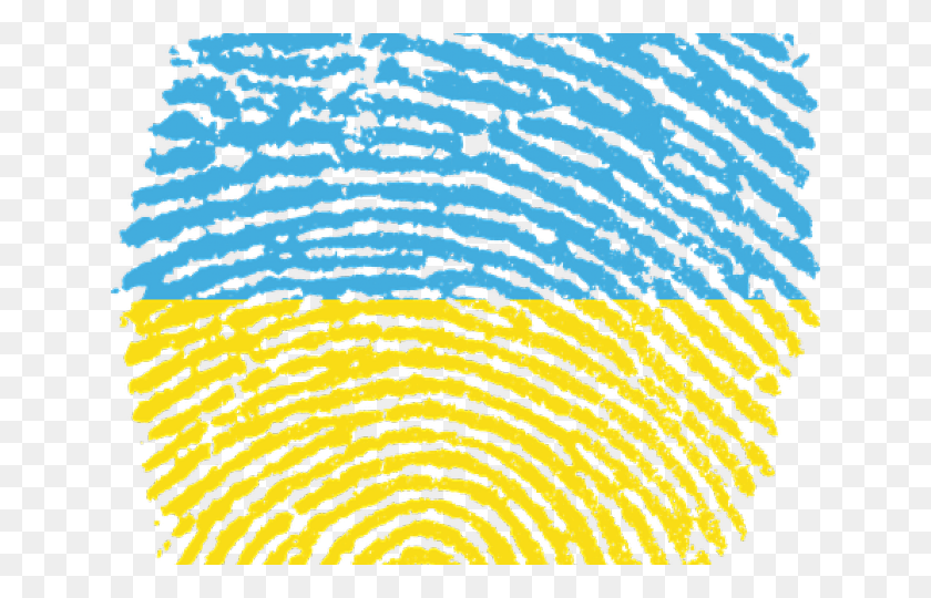 640x480 Ukraine Flag Transparent Images Bangladesh Map In Fingerprint, Pattern, Ornament, Fractal HD PNG Download