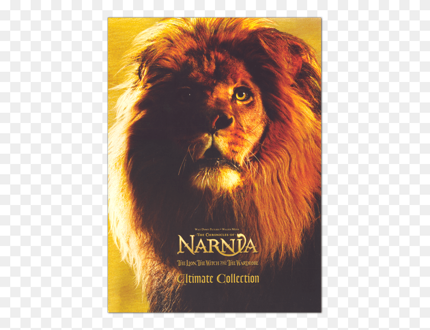 425x584 Ultimate Collection Masai Lion, Advertisement, Poster, Wildlife HD PNG Download