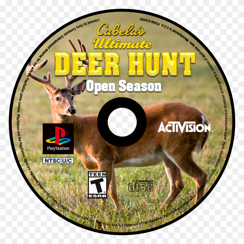 1000x1000 Ultimate Deer Hunt Venison Deer, Wildlife, Mammal, Animal HD PNG Download