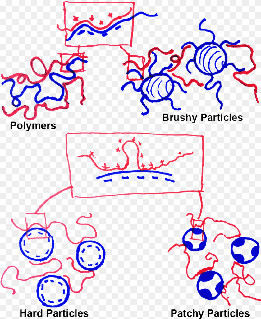 845x1031 Umass Amherst Scientists Make Polymers Polymer Coacervates, Purple, Light Transparent PNG