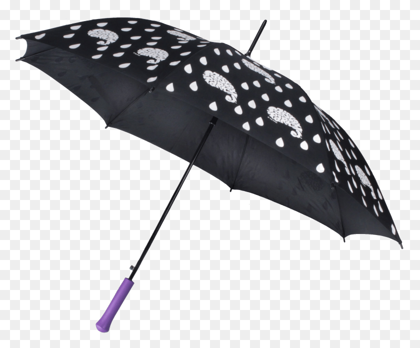2257x1841 Umbrella, Canopy, Tent, Patio Umbrella HD PNG Download