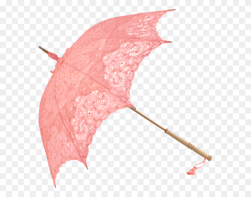 583x600 Umbrella Lace Umbrella, Fungus, Canopy, Bird HD PNG Download