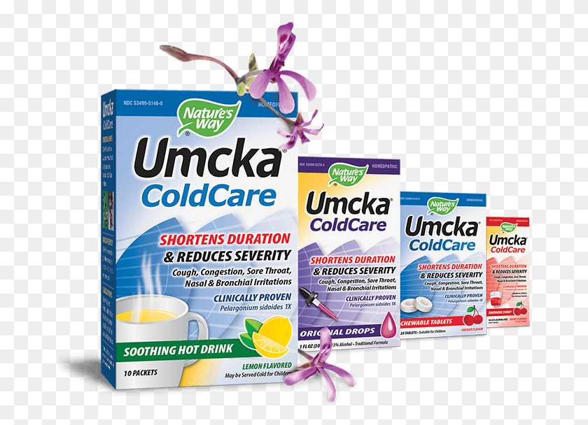 676x548 Umcka Products Nature39s Way Umcka Cold Care, Food, Box, Plant HD PNG Download