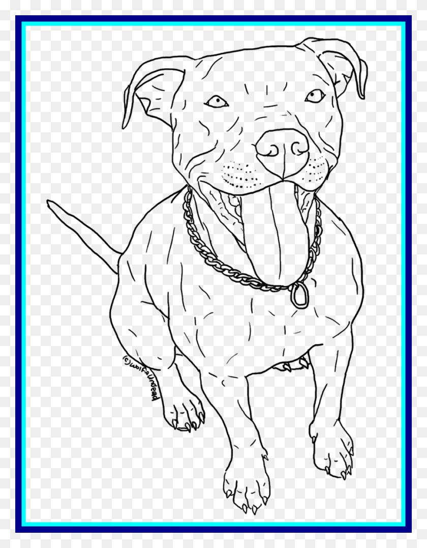 900x1174 Раскраска Собака Питбуль, Животное, Млекопитающее, Собака Png Скачать