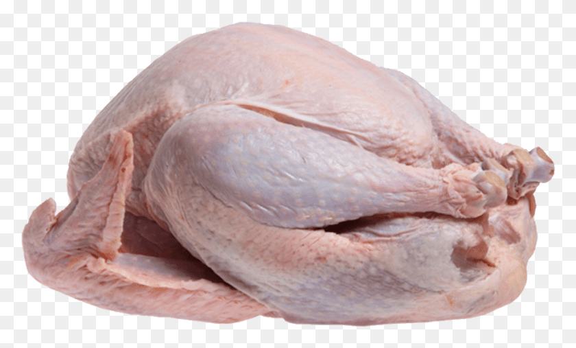 911x523 Uncooked Turkey Transparent Image Food Images Turkey Bird Meat, Poultry, Fowl, Animal HD PNG Download