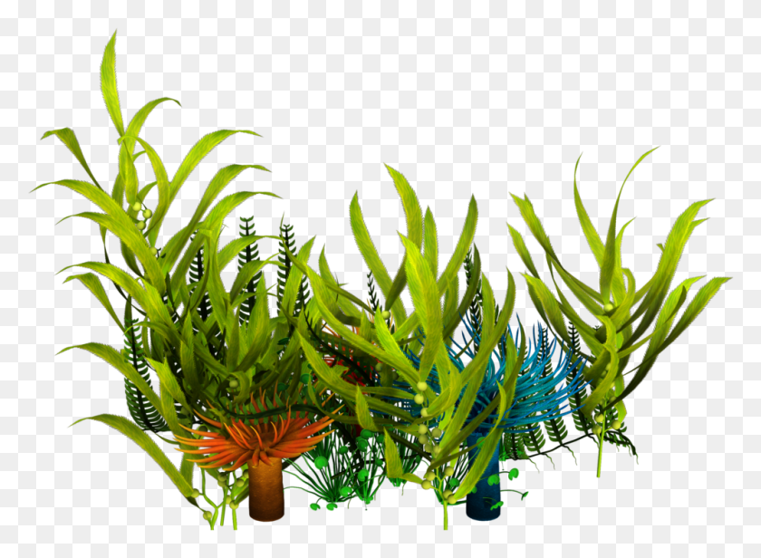 996x710 Underwater Aquatic Plants Seaweed Clip Art Underwater Plants, Pattern, Fractal, Ornament HD PNG Download