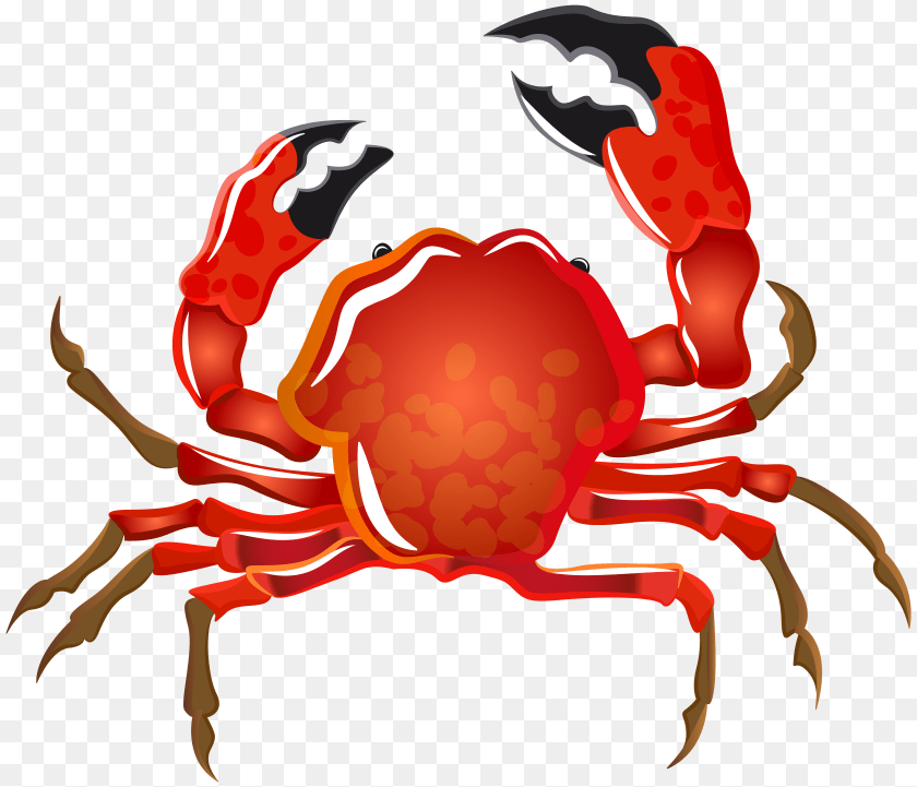 Underwater Crab Explore Pictures, Food, Seafood, Animal, Invertebrate Clipart PNG