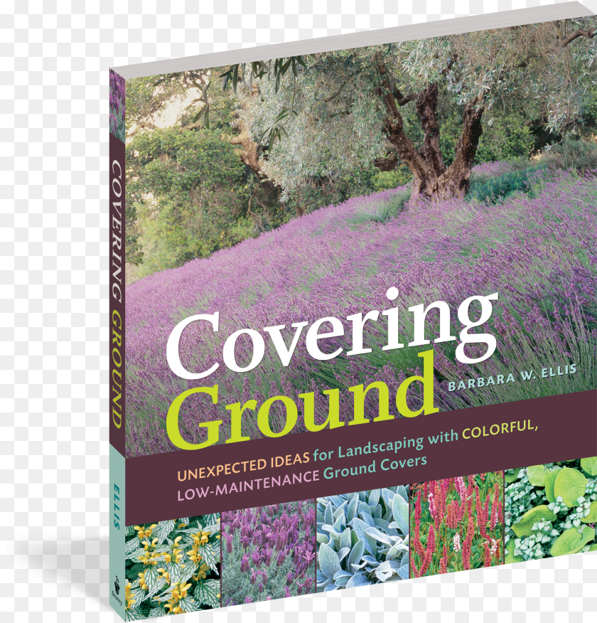 Unexpected Ideas For Landscaping With Covering Ground PNG
