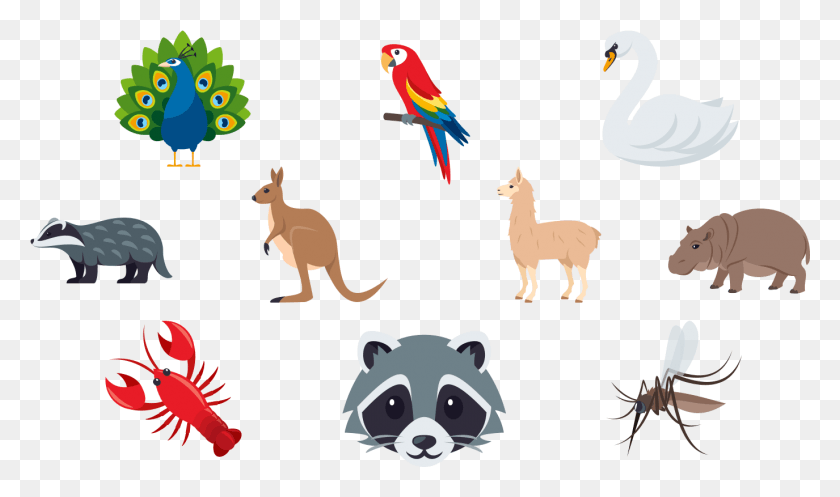 1375x771 Unicode Anuncia Emoji 11 0 Adiciones Para 2018 Emojione Peacock Emoji Copiar Y Pegar, Ave, Animal, Mamífero Hd Png Descargar