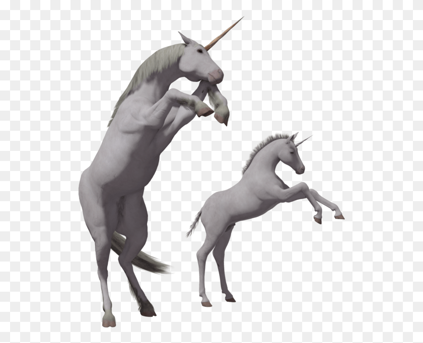 531x622 Unicorn, Horse, Mammal, Animal HD PNG Download
