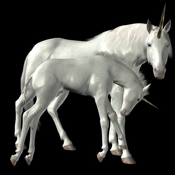 600x600 Unicorn, Horse, Mammal, Animal HD PNG Download