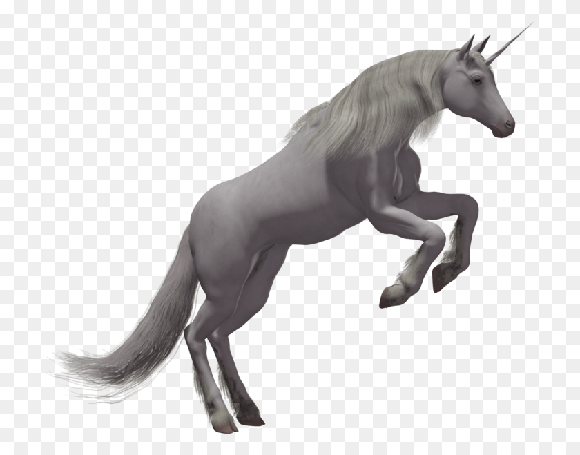 709x599 Unicorn, Horse, Mammal, Animal HD PNG Download