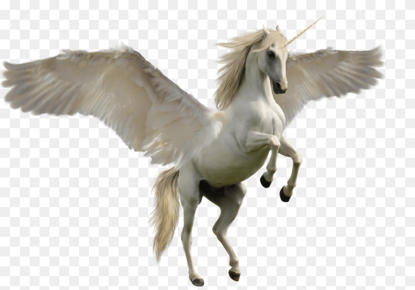 1000x700 Unicorn, Animal, Bird Clipart PNG