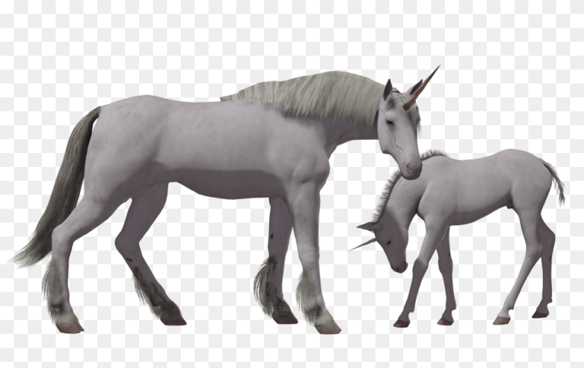Unicorn, Animal, Horse, Mammal, Andalusian Horse Sticker PNG