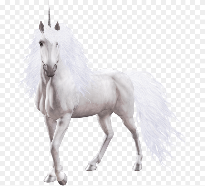 738x762 Unicorn Image Transparent Background White Unicorn, Animal, Horse, Mammal, Stallion Clipart PNG