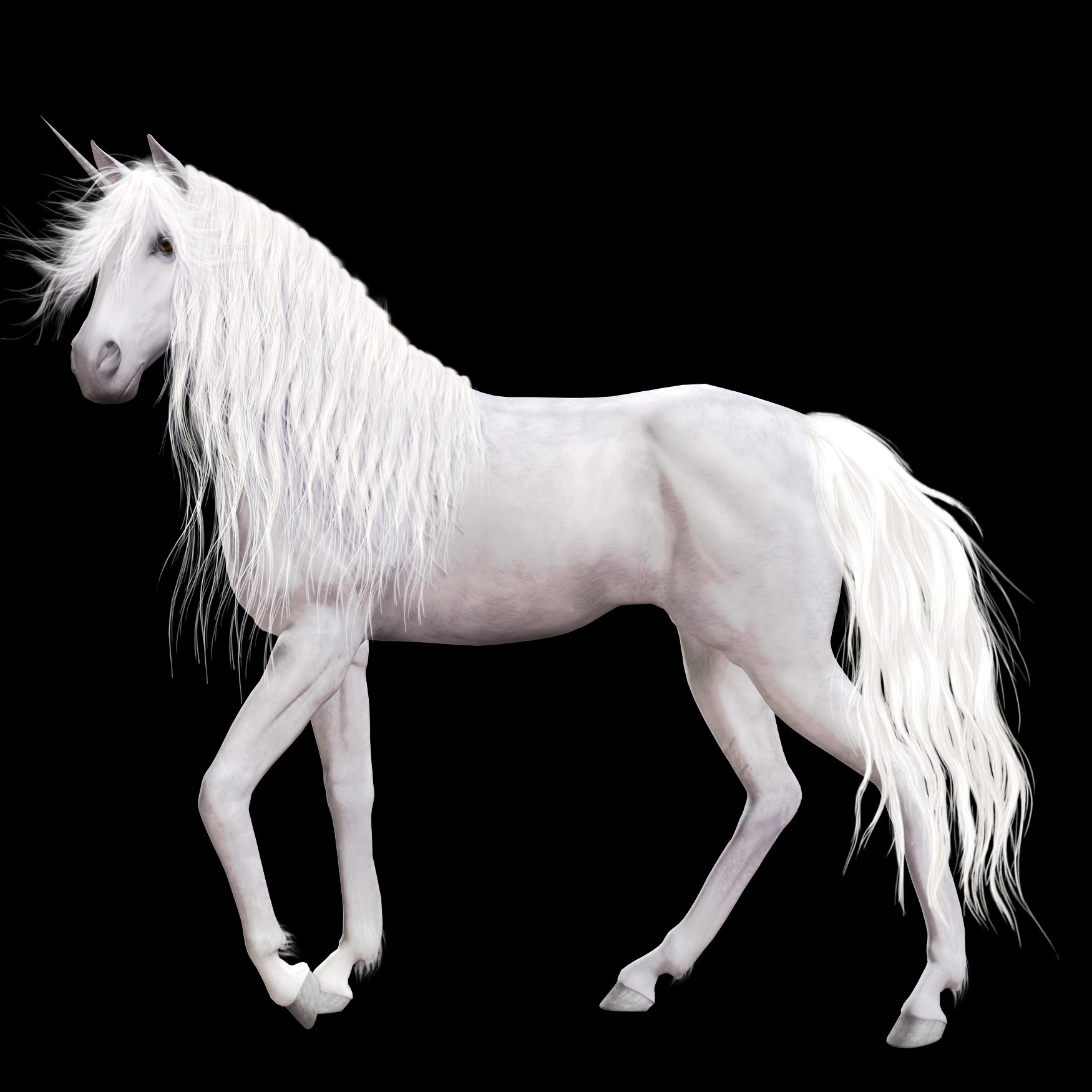 1750x1750 Единорог Картинки Белый Кон На Черном Фоне, Лошадь, Млекопитающее, Животное Hd Png Скачать