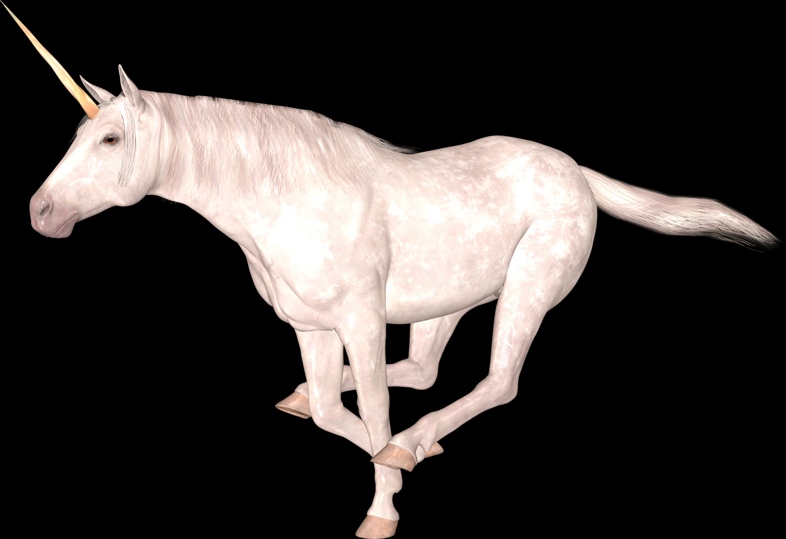 1600x1098 Unicorn Images Stallion, Horse, Mammal, Animal HD PNG Download