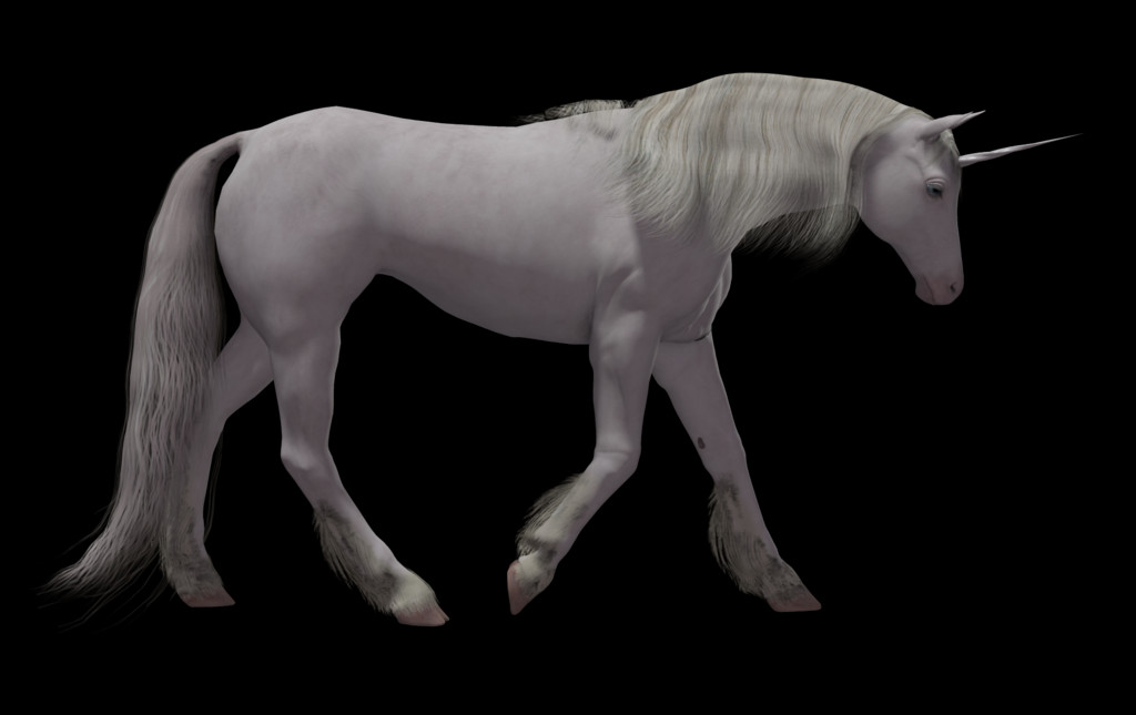 1024x645 Unicorn Images Stallion, Horse, Mammal, Animal HD PNG Download