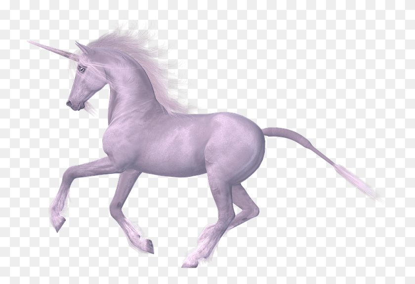 740x515 Unicorn With White Background, Horse, Mammal, Animal HD PNG Download