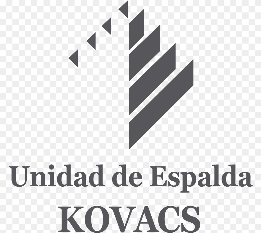 785x749 Unidad De La Espalda Kovacs Del Hospital Hla Moncloa Graphic Design, Logo, Text Sticker PNG
