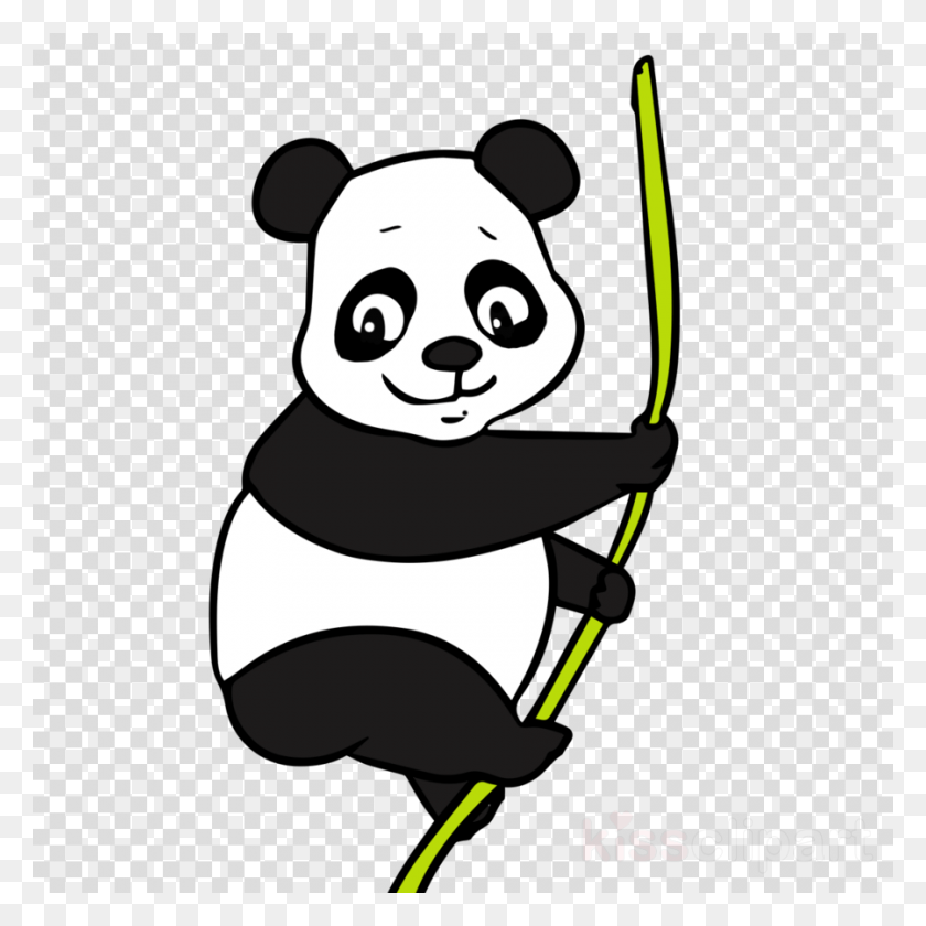900x900 Гигантская Панда, Дикие Животные, Млекопитающие Png Скачать