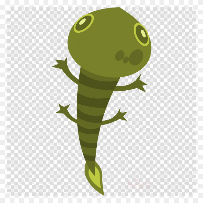 900x900 Зеленая Лягушка-Ящерица С Прозрачным Изображением Ampamp Red Point Для Карт, Растения, Еда, Овощи, Hd Png Скачать
