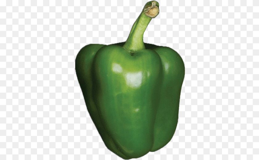 Unit Green Bell Pepper, Bell Pepper, Food, Plant, Produce Sticker PNG