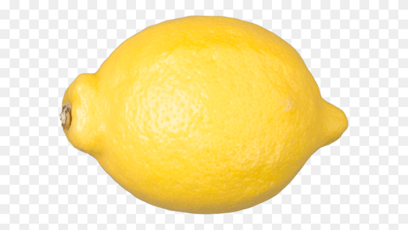 597x413 Unit Lemon Sweet Lemon, Citrus Fruit, Fruit, Plant Descargar Hd Png