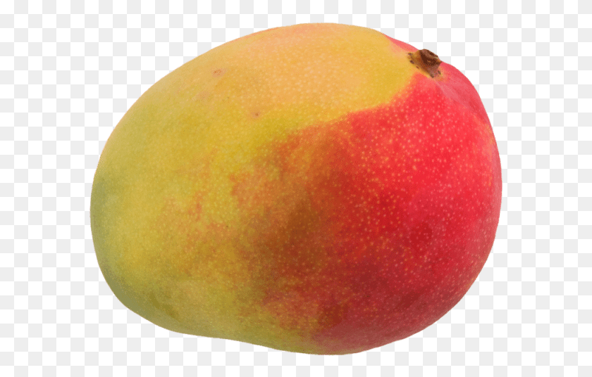589x476 Unit Mango, Apple, Fruit, Plant HD PNG Download