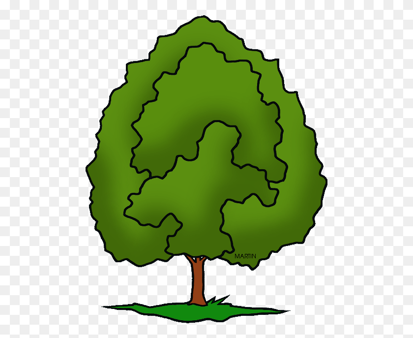 493x627 United States Clip Art By Phillip Martin Illinois Phillip Martin Clipart Tree, Sphere, Green, Person HD PNG Download